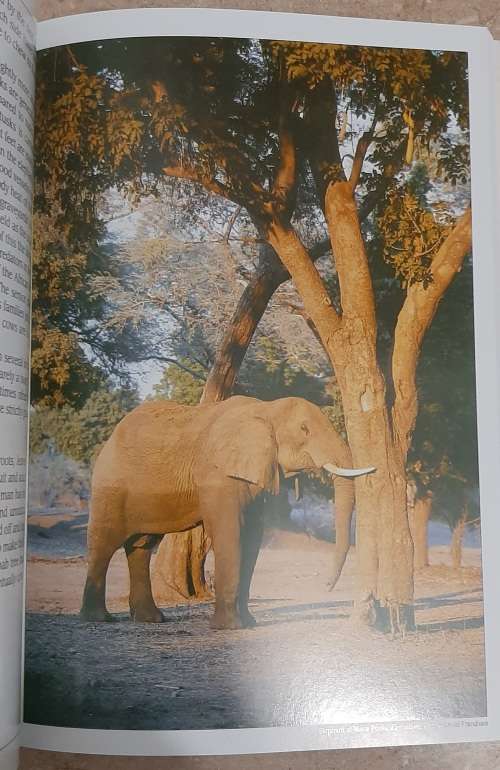 Southern Africa`s Mammals: A field guide. Author: Robin Frandsen